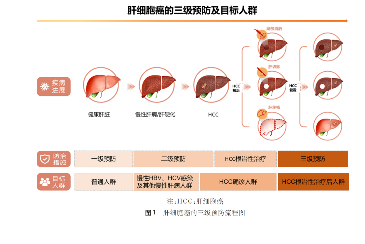 原发性肝癌三级预防共识（2022年版）指出复方鳖甲软肝片有助于降低肝癌复发风险