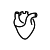 福瑞